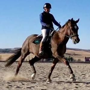 Meet your Posher, Ingrid